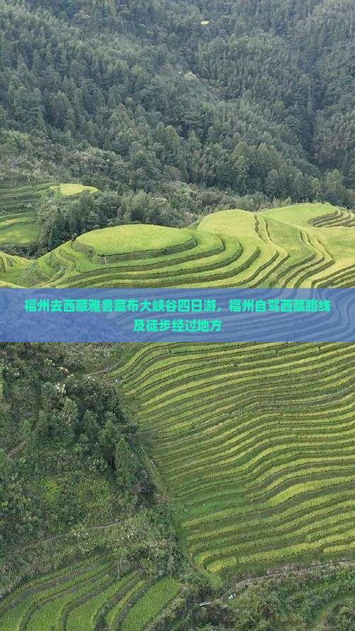 福州去西藏雅鲁藏布大峡谷四日游