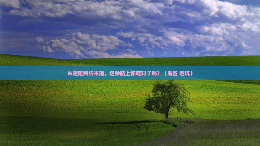 楚雄到西藏纳木措旅游小吃