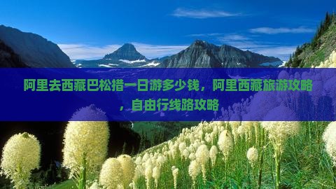 阿里去西藏巴松措一日