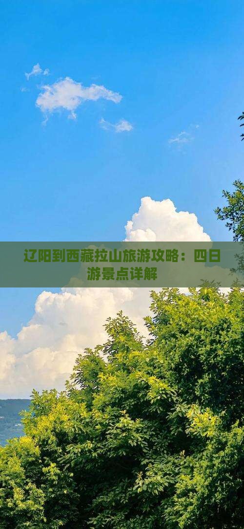 辽阳到西藏色季拉山四日游