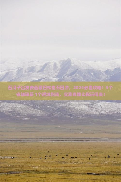 石河子去西藏巴松措五日游