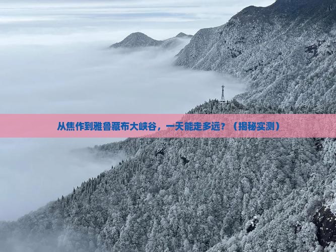 焦作到西藏雅鲁藏布大峡谷一日