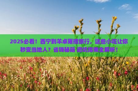 西宁到西藏羊卓雍措旅游小吃
