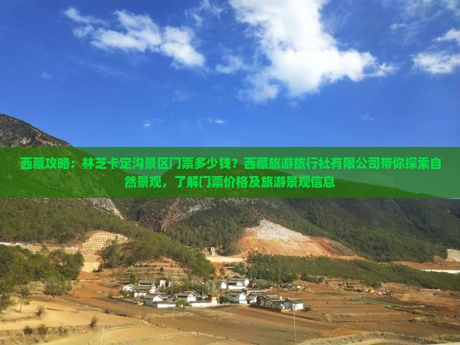 三月去西藏卡定沟门票