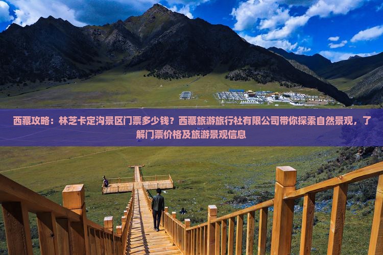 三月去西藏卡定沟门票