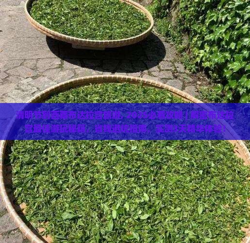 清明节到西藏布达拉宫旅游