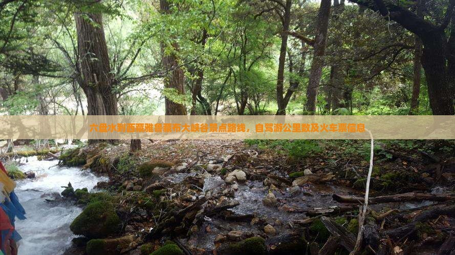 六盘水到西藏雅鲁藏布大峡谷景点