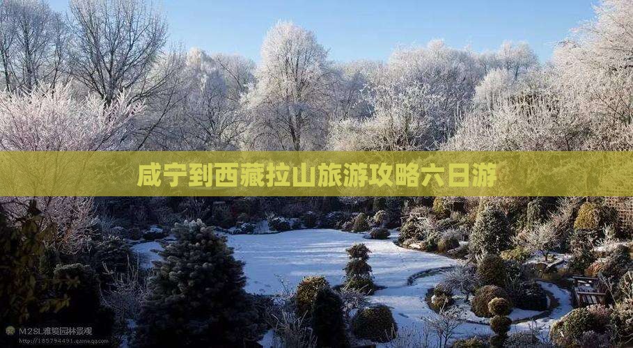 咸宁到西藏色季拉山六日游