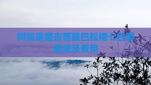 阿拉善盟去西藏巴松措七日游