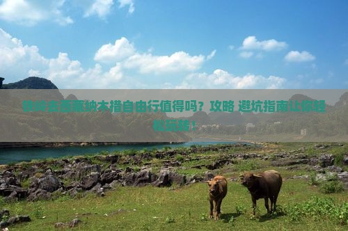 铁岭去西藏纳木措自由行