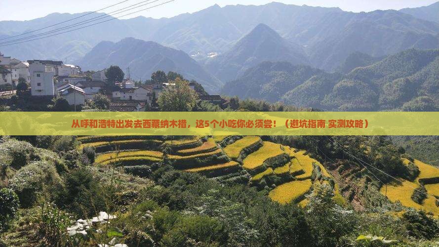 呼和浩特去西藏纳木措旅游小吃