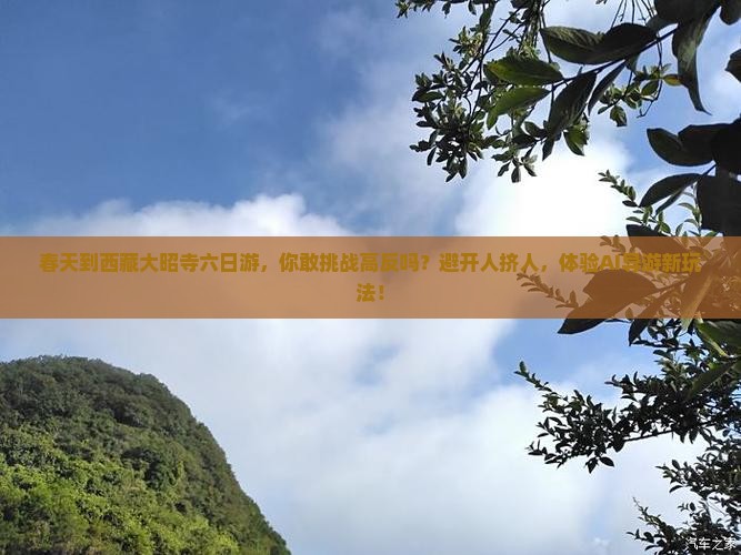 春天到西藏大昭寺六日游