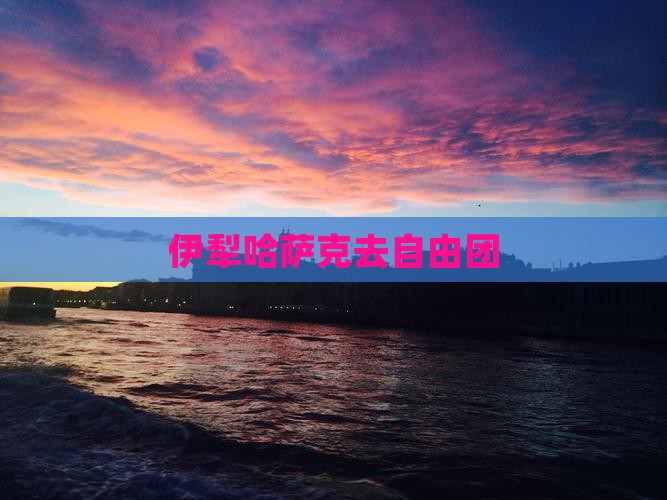 伊犁哈萨克去西藏自由团