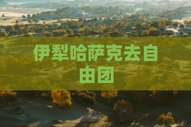 伊犁哈萨克去西藏自由团