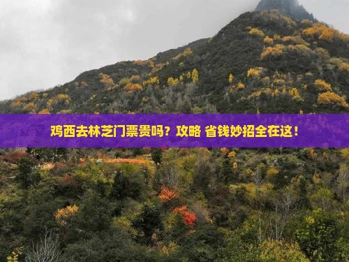 鸡西去西藏林芝门票