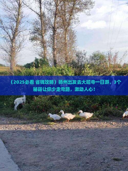 扬州到西藏大昭寺一日