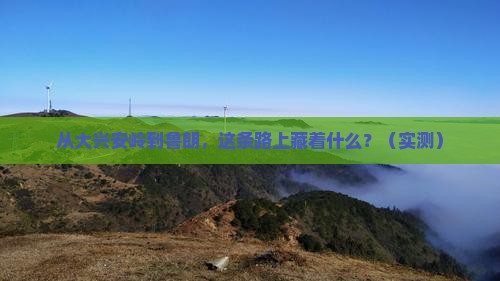 大兴安岭到西藏鲁朗小镇自由行