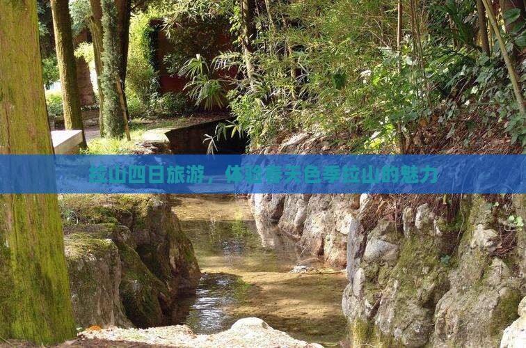 春天到西藏色季拉山四日游