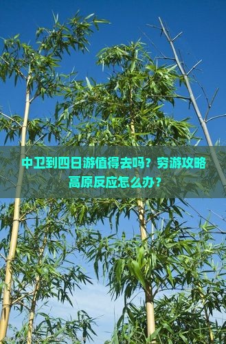 中卫到西藏四日游