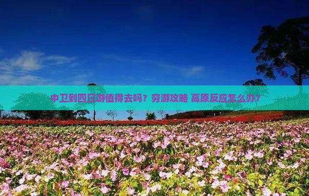 中卫到西藏四日游
