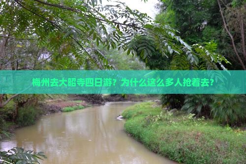 梅州去西藏大昭寺四日游