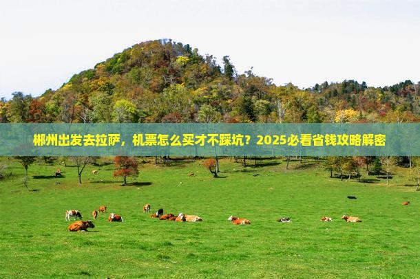 郴州去西藏拉萨门票