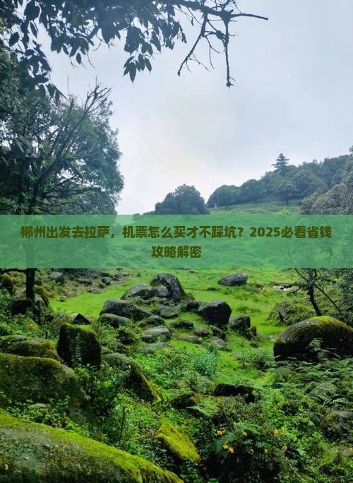 郴州去西藏拉萨门票