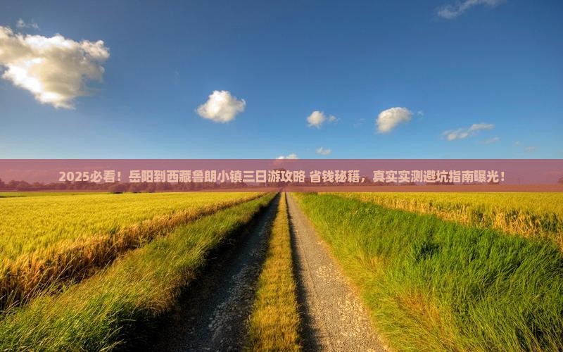 岳阳到西藏鲁朗小镇三日游
