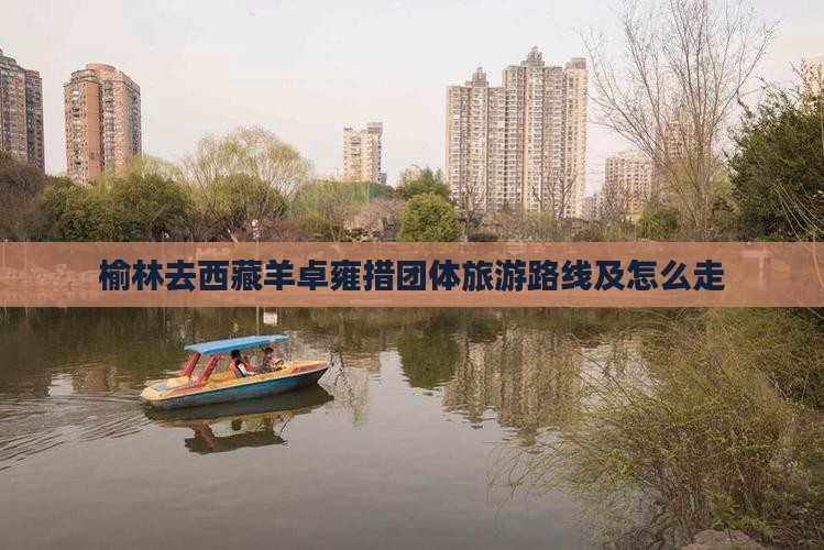 榆林去西藏羊卓雍措团体旅游