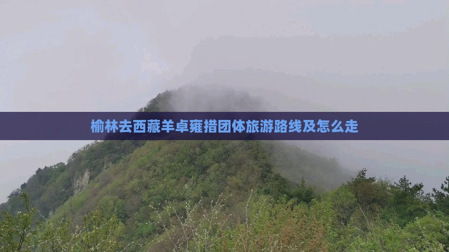 榆林去西藏羊卓雍措团体旅游