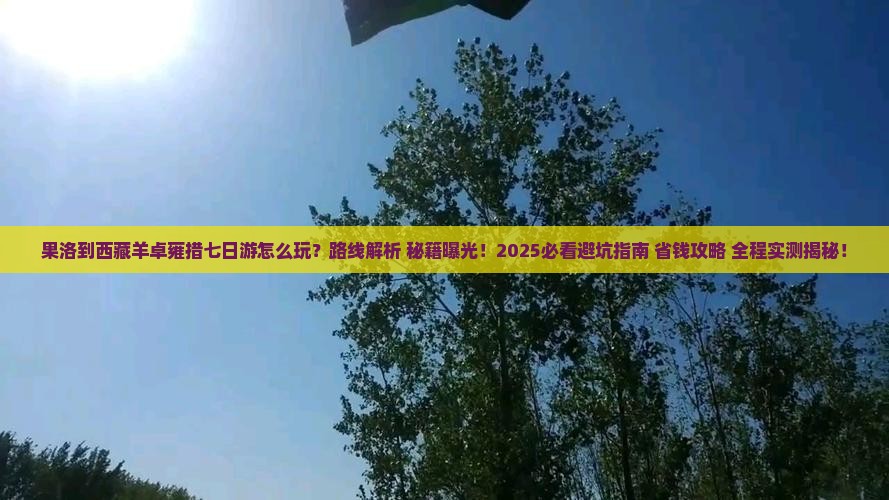 果洛到西藏羊卓雍措七日游