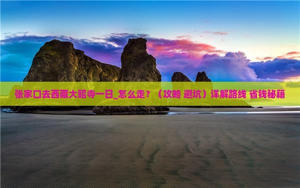 张家口去西藏大昭寺一日