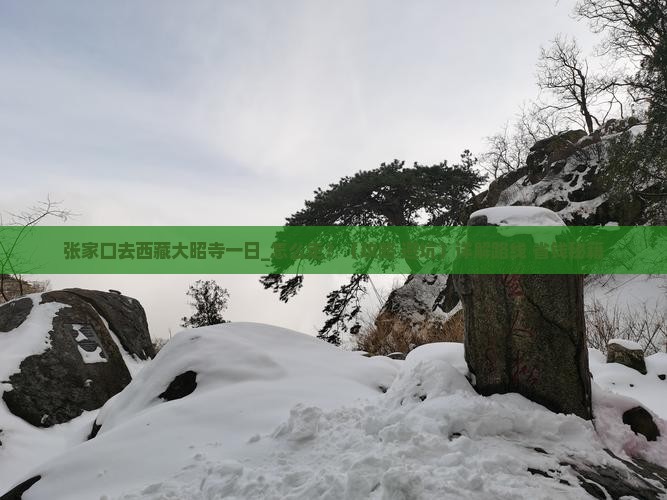 张家口去西藏大昭寺一日