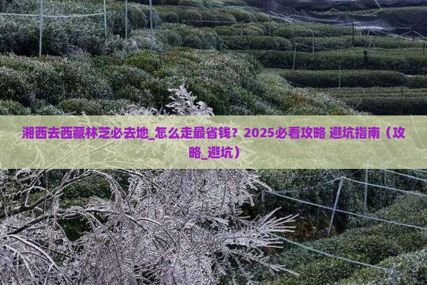 湘西去西藏林芝必去地