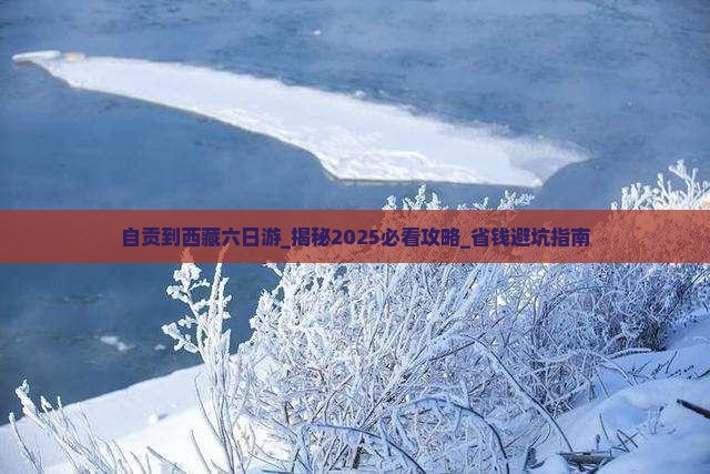 自贡到西藏六日游