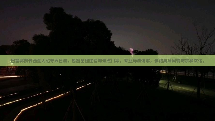 巴音郭楞去西藏大昭寺五日游