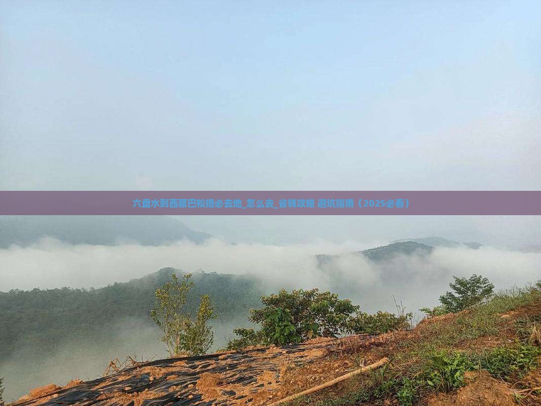 六盘水到西藏巴松措必去地