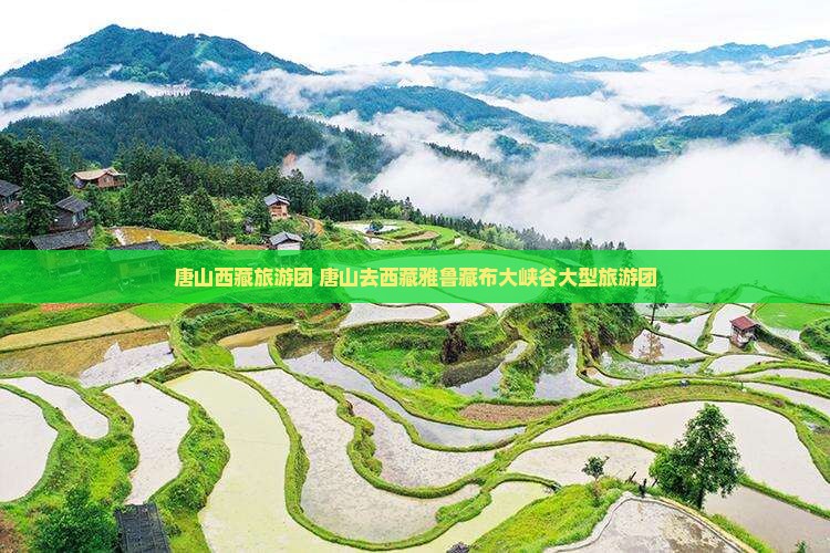 唐山去西藏雅鲁藏布大峡谷大型旅游团