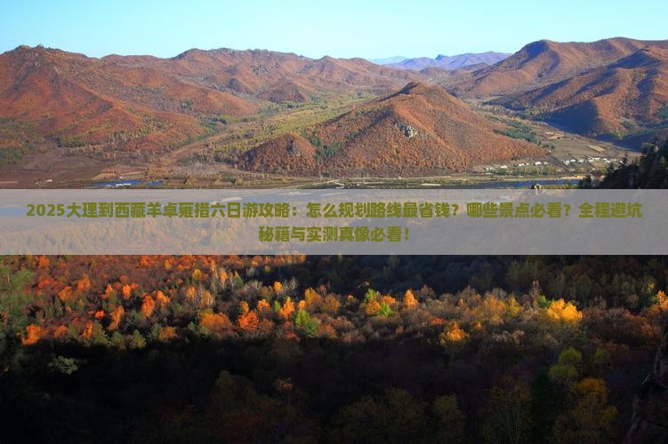大理到西藏羊卓雍措六日游