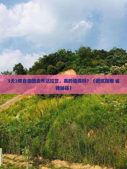冬天去西藏布达拉宫自由团