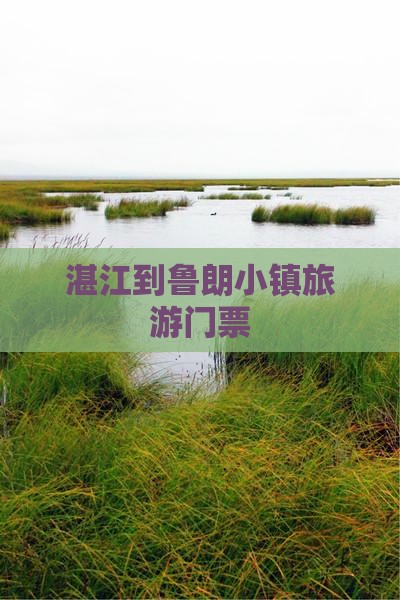 湛江到西藏鲁朗小镇门票