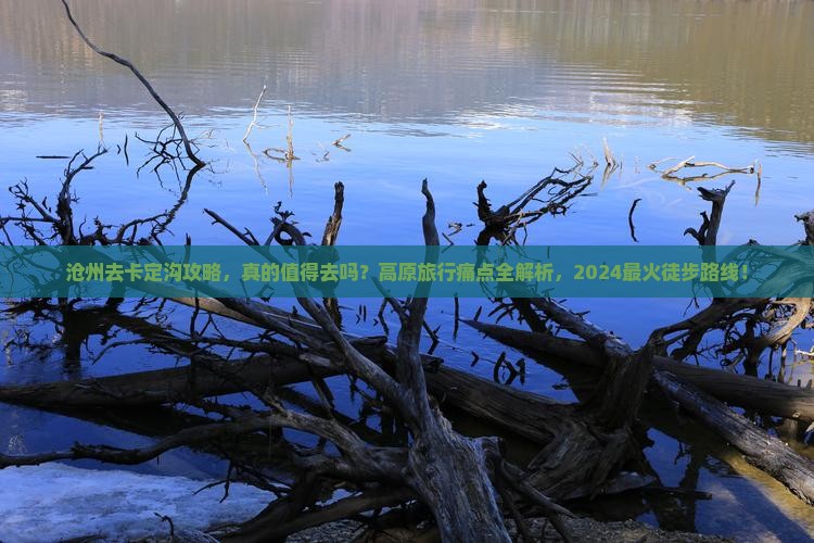 沧州去西藏卡定沟攻略