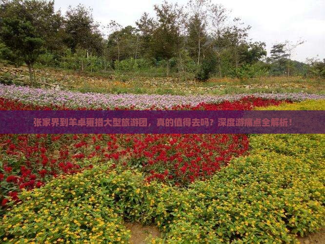 张家界到西藏羊卓雍措大型旅游团