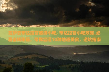 拉萨去西藏布达拉宫旅游小吃