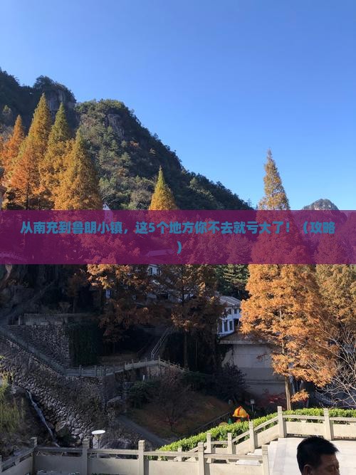 南充到西藏鲁朗小镇必去地