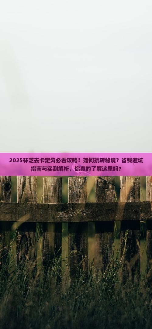 林芝去西藏卡定沟景点