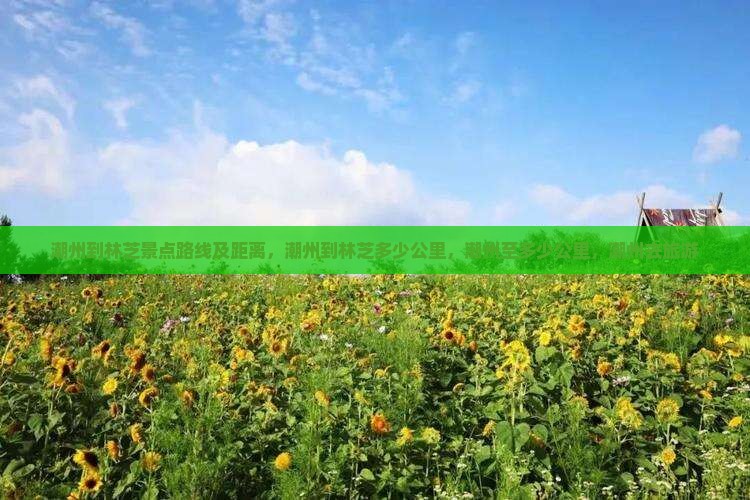潮州到西藏林芝景点