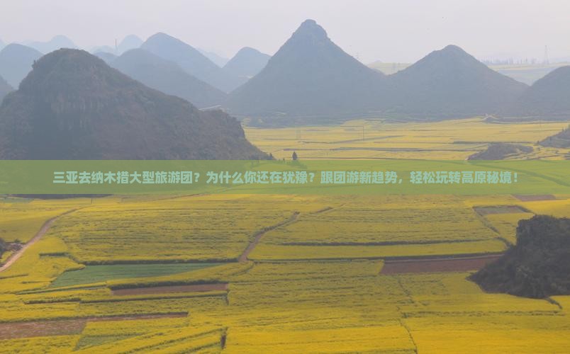 三亚去西藏纳木措大型旅游团