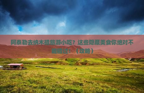 阿泰勒去西藏纳木措旅游小吃