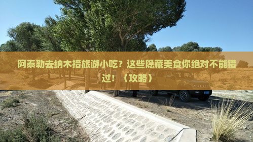 阿泰勒去西藏纳木措旅游小吃